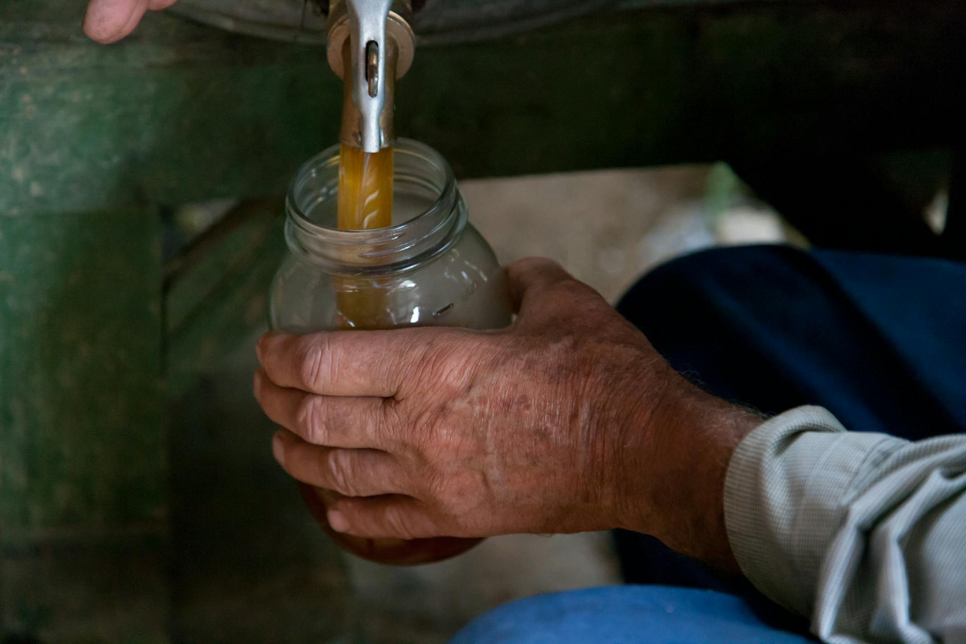 Nalewanie domowego syropu z mniszka do szklanego słoika