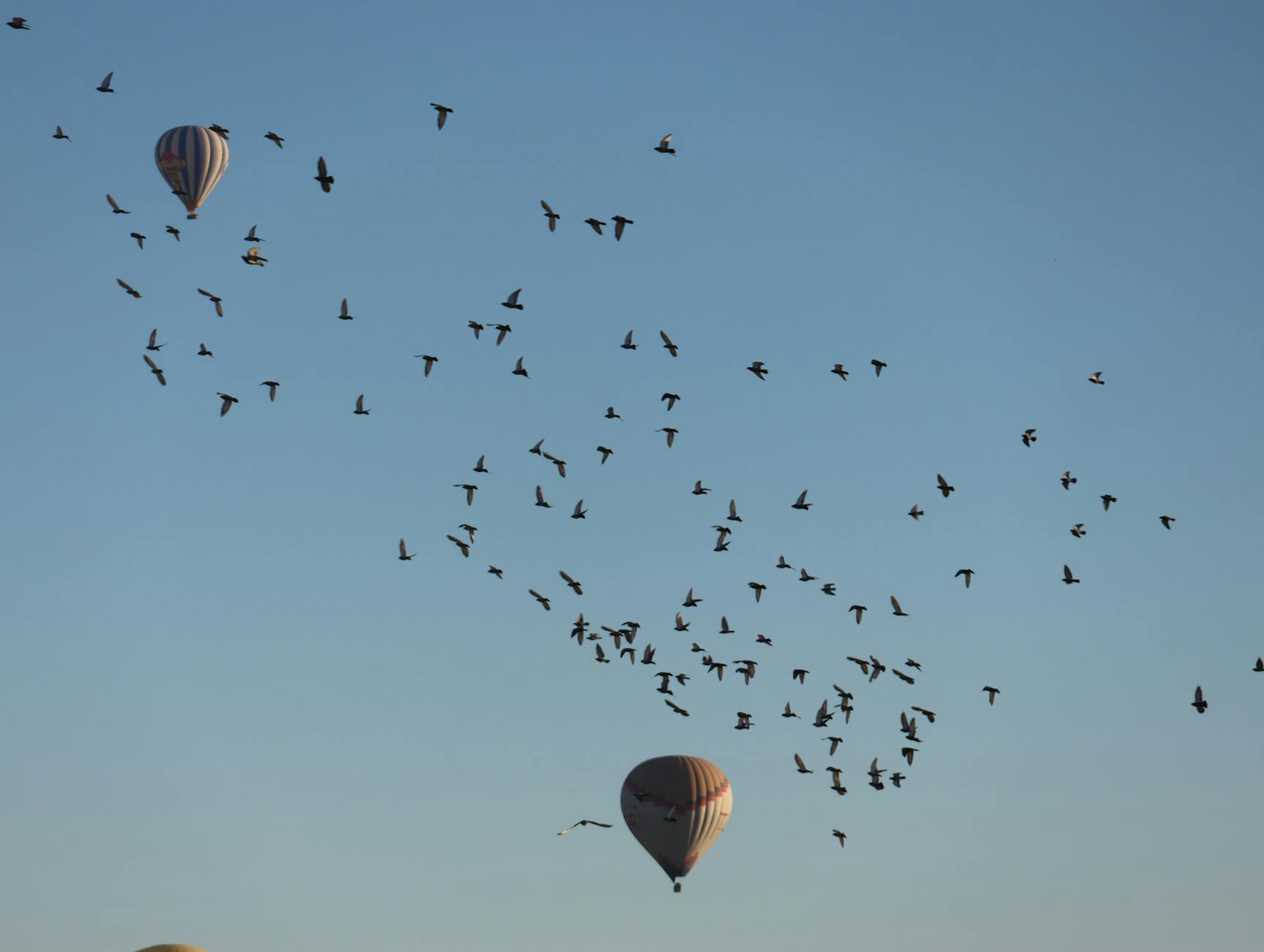 Balony nad Kapadocją unoszą się na tle jasnego, czystego nieba
